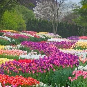 Meet your Posher, TB~MajorLeBella